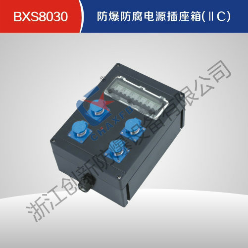 BXS8030防爆防腐电源插座箱(IIC)